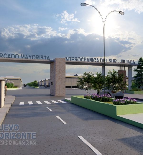 Proyecto Mercado May. Interoceanica